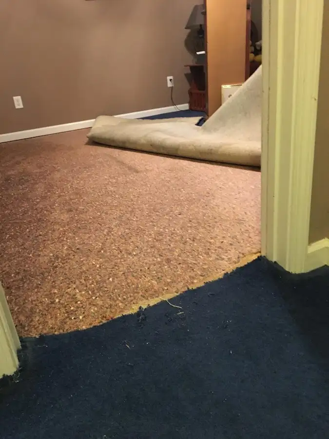 Carpet pad removal revealing water damage during Water Mitigation Services in Claiborne